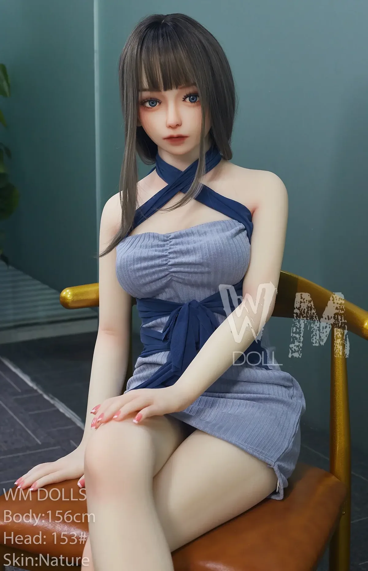 WM 156cm C - Trixy